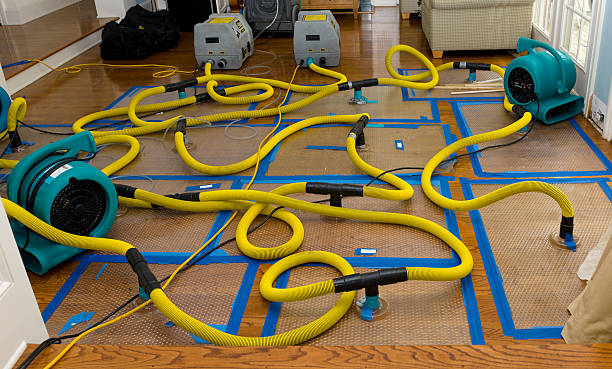 Professional Sewage Cleanup technician working in Prospect, OH