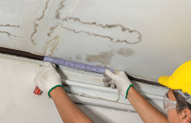Affordable Water Damage Repair solutions in Prospect, OH